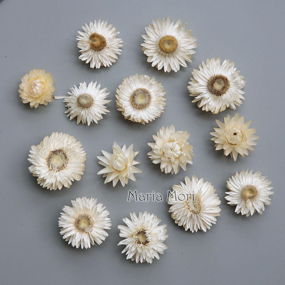 Baby Products For Bathing - 天然のドライでカラフルな菊の花輪,手作りのヘアアクセサリー,樹脂製品,アロマテラピーキャンドル