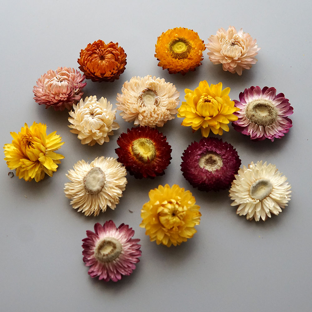 天然のドライでカラフルな菊の花輪,手作りのヘアアクセサリー, - Baby Products For Bathing のレビューと価格