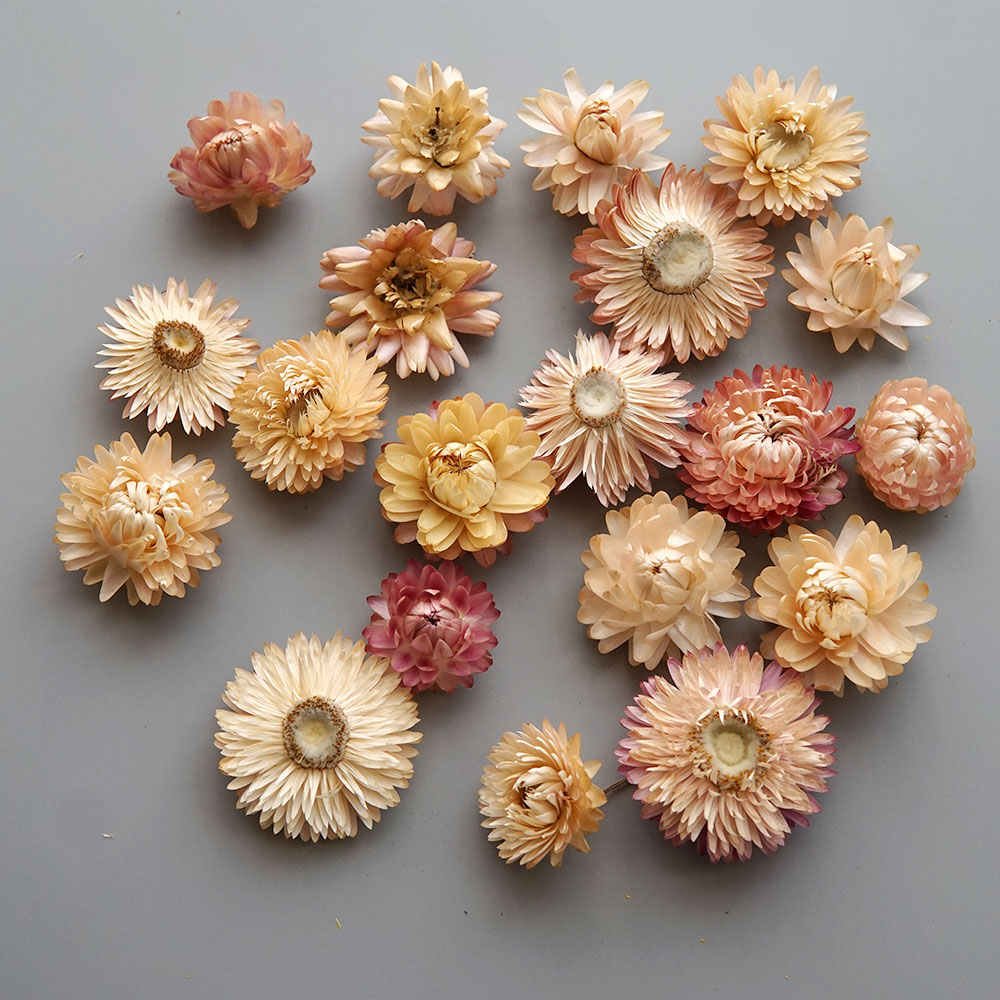 天然のドライでカラフルな菊の花輪,手作りのヘアアクセサリー, - Baby Products For Bathing のレビューと価格